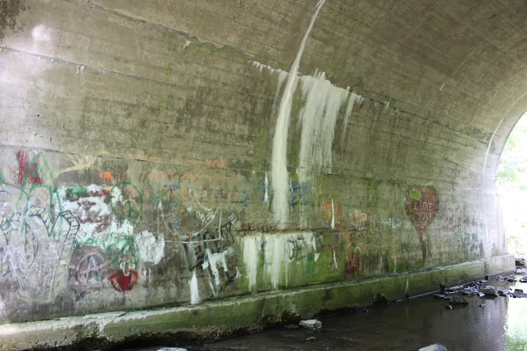Francis Creek Trail Bridge